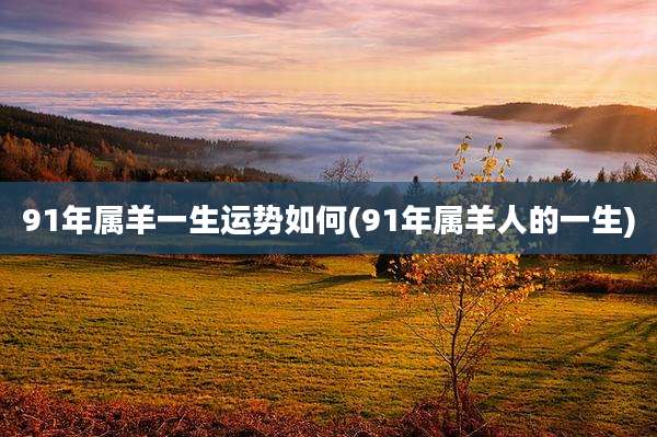91年属羊一生运势如何(91年属羊人的一生)