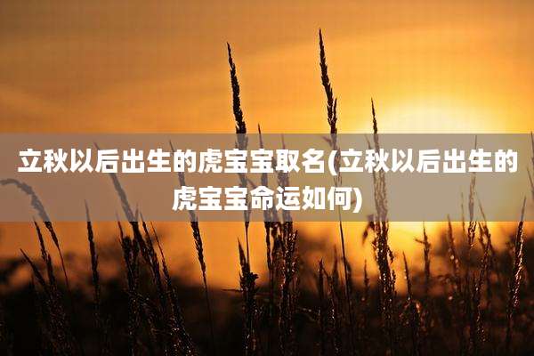 立秋以后出生的虎宝宝取名(立秋以后出生的虎宝宝命运如何)