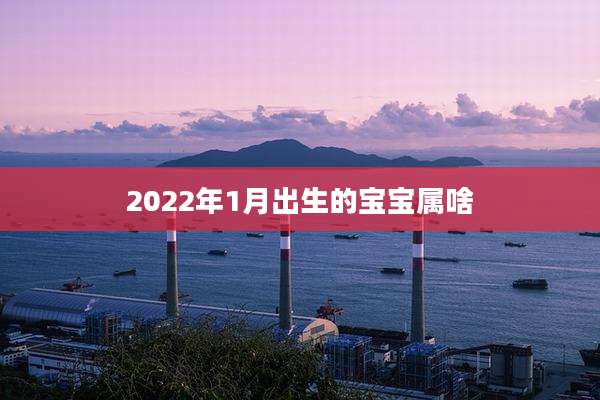 2022年1月出生的宝宝属啥
