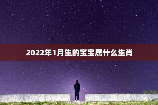 2022年1月生的宝宝属什么生肖