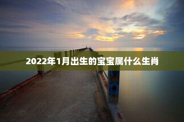 2022年1月出生的宝宝属什么生肖