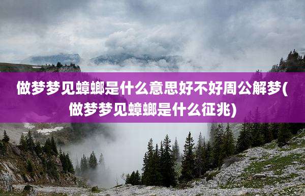 做梦梦见蟑螂是什么意思好不好周公解梦(做梦梦见蟑螂是什么征兆)