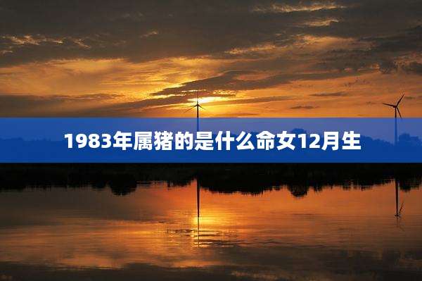 1983年属猪的是什么命女12月生