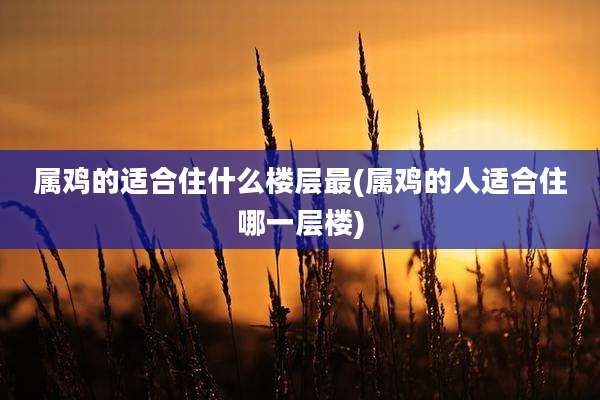 属鸡的适合住什么楼层最(属鸡的人适合住哪一层楼)