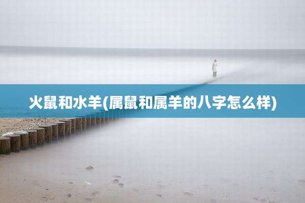 火鼠和水羊(属鼠和属羊的八字怎么样)
