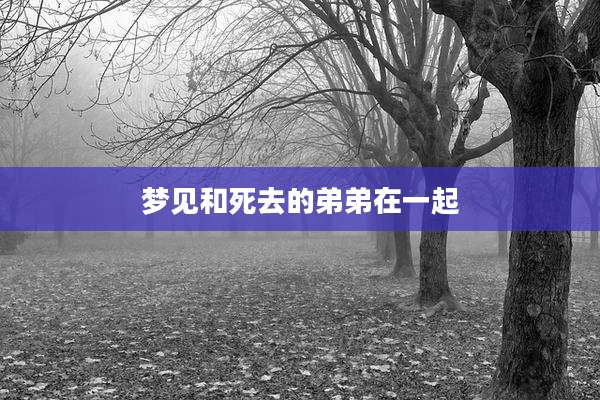梦见和死去的弟弟在一起
