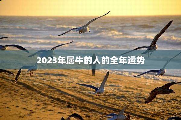 2023年属牛的人的全年运势