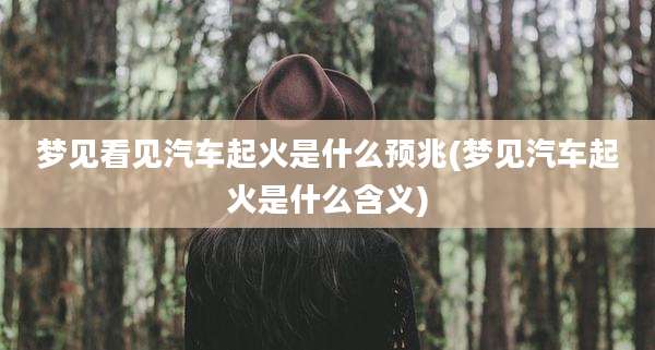 梦见看见汽车起火是什么预兆(梦见汽车起火是什么含义)