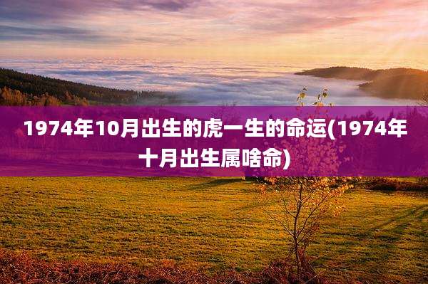 1974年10月出生的虎一生的命运(1974年十月出生属啥命)