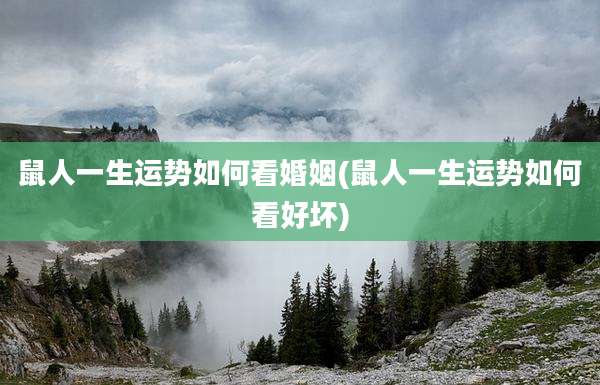 鼠人一生运势如何看婚姻(鼠人一生运势如何看好坏)