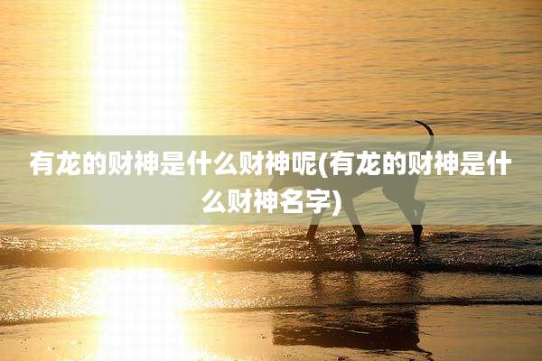 有龙的财神是什么财神呢(有龙的财神是什么财神名字)
