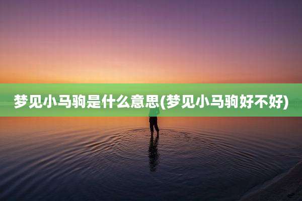 梦见小马驹是什么意思(梦见小马驹好不好)