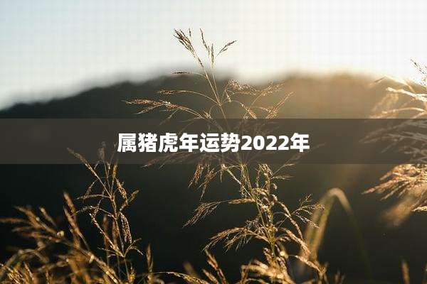 属猪虎年运势2022年
