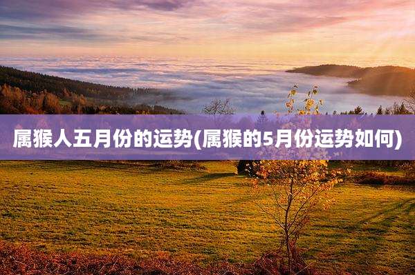 属猴人五月份的运势(属猴的5月份运势如何)