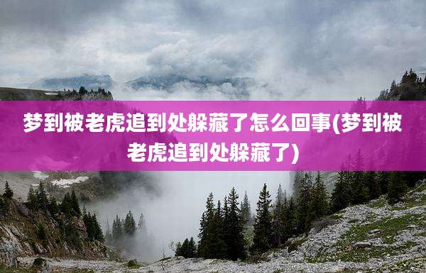 梦到被老虎追到处躲藏了怎么回事(梦到被老虎追到处躲藏了)