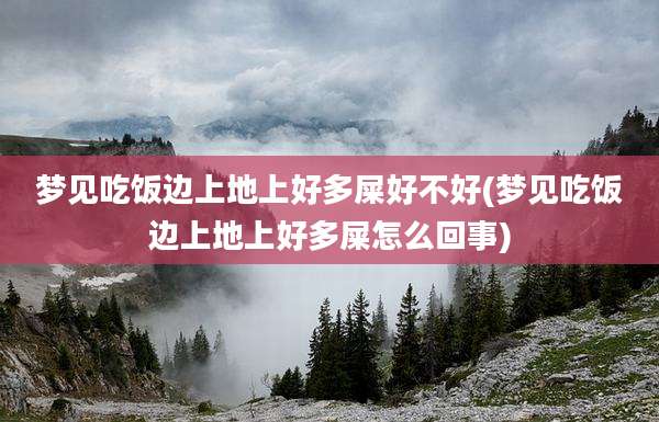梦见吃饭边上地上好多屎好不好(梦见吃饭边上地上好多屎怎么回事)