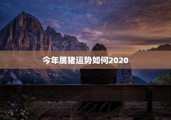 今年属猪运势如何2020