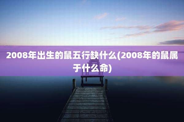 2008年出生的鼠五行缺什么(2008年的鼠属于什么命)