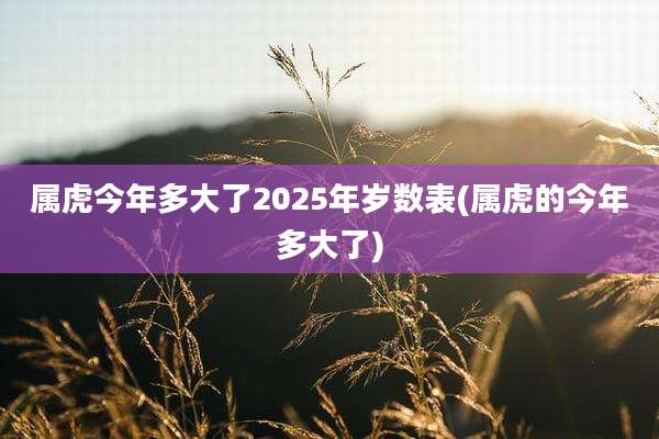 属虎今年多大了2025年岁数表(属虎的今年多大了)