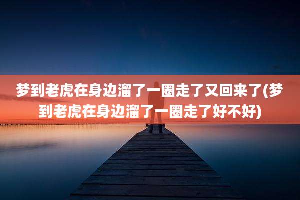 梦到老虎在身边溜了一圈走了又回来了(梦到老虎在身边溜了一圈走了好不好)