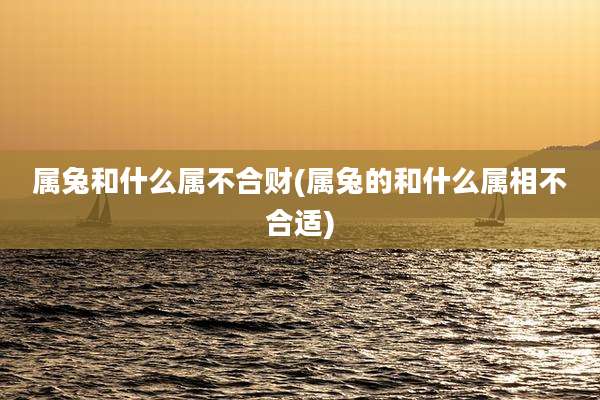 属兔和什么属不合财(属兔的和什么属相不合适)