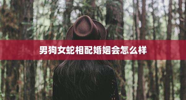 男狗女蛇相配婚姻会怎么样