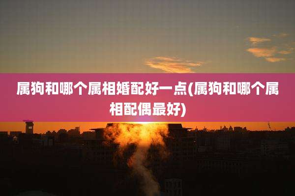 属狗和哪个属相婚配好一点(属狗和哪个属相配偶最好)