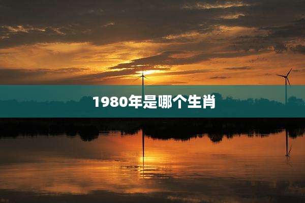 1980年是哪个生肖