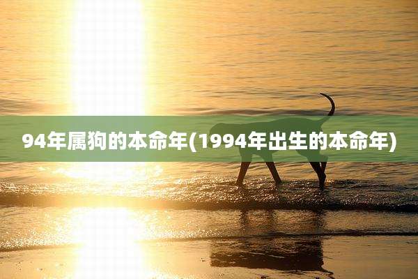 94年属狗的本命年(1994年出生的本命年)