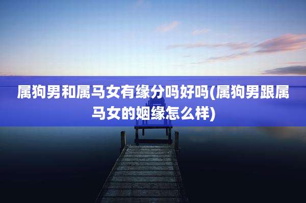 属狗男和属马女有缘分吗好吗(属狗男跟属马女的姻缘怎么样)