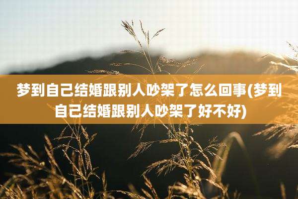 梦到自己结婚跟别人吵架了怎么回事(梦到自己结婚跟别人吵架了好不好)