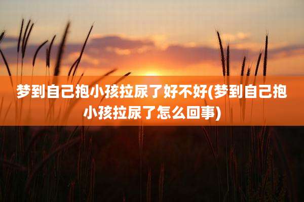 梦到自己抱小孩拉尿了好不好(梦到自己抱小孩拉尿了怎么回事)