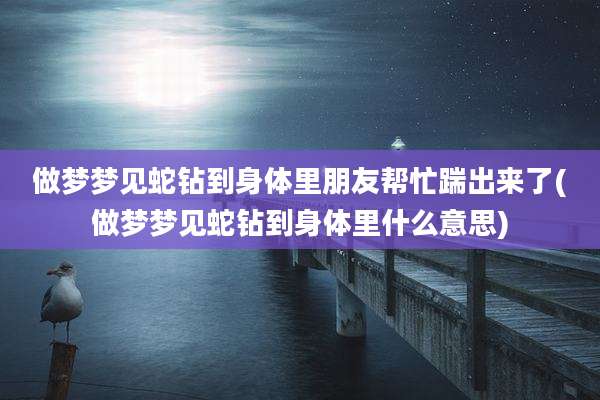 做梦梦见蛇钻到身体里朋友帮忙踹出来了(做梦梦见蛇钻到身体里什么意思)