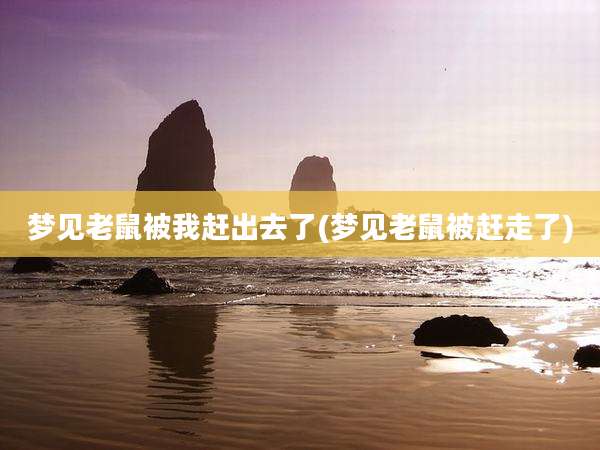 梦见老鼠被我赶出去了(梦见老鼠被赶走了)