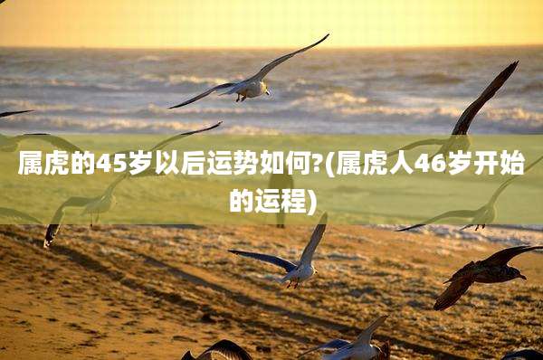 属虎的45岁以后运势如何?(属虎人46岁开始的运程)