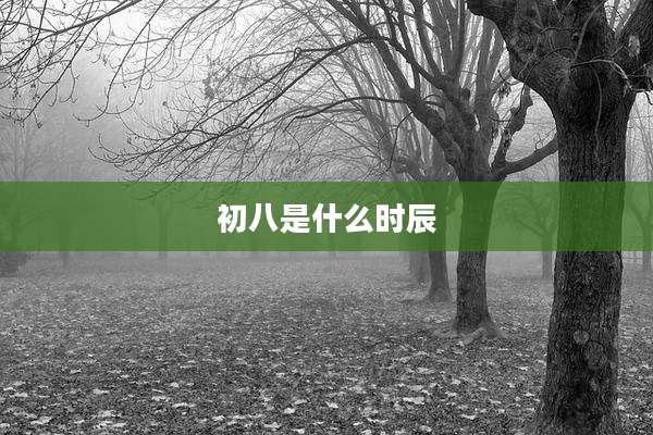 初八是什么时辰