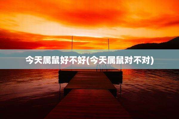 今天属鼠好不好(今天属鼠对不对)
