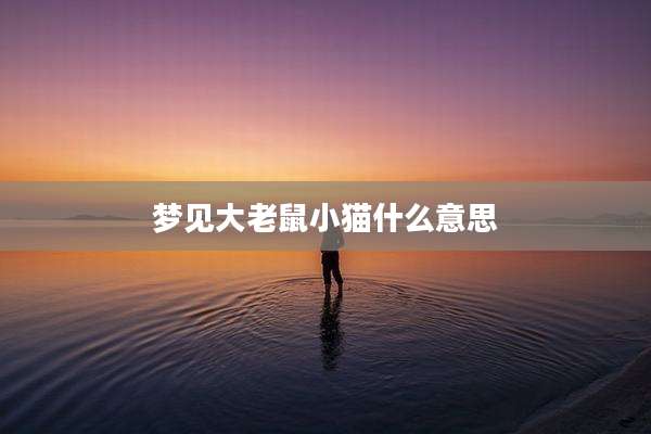 梦见大老鼠小猫什么意思