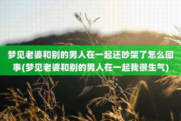 梦见老婆和别的男人在一起还吵架了怎么回事(梦见老婆和别的男人在一起我很生气)