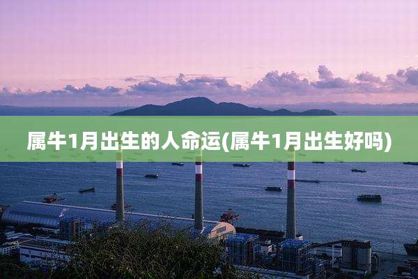 属牛1月出生的人命运(属牛1月出生好吗)