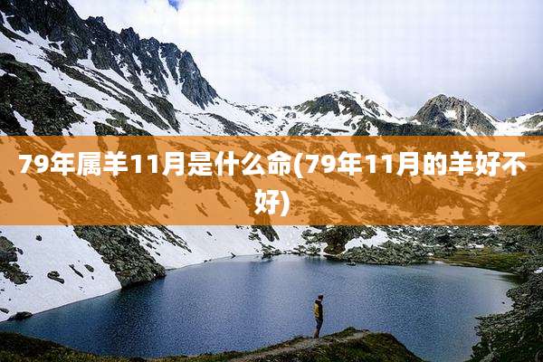 79年属羊11月是什么命(79年11月的羊好不好)