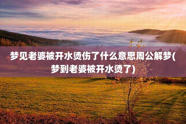 梦见老婆被开水烫伤了什么意思周公解梦(梦到老婆被开水烫了)