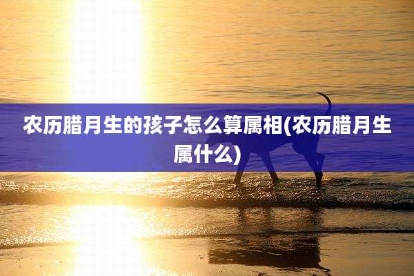 农历腊月生的孩子怎么算属相(农历腊月生属什么)