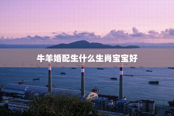 牛羊婚配生什么生肖宝宝好