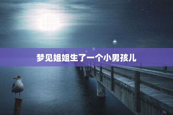 梦见姐姐生了一个小男孩儿