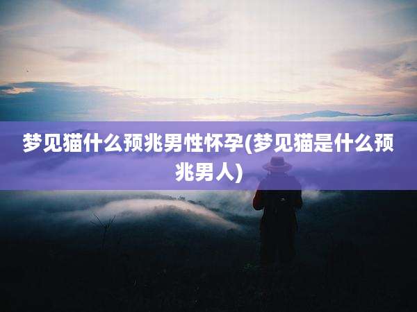 梦见猫什么预兆男性怀孕(梦见猫是什么预兆男人)