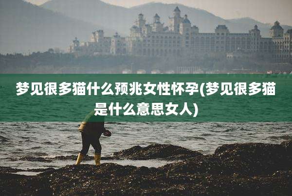 梦见很多猫什么预兆女性怀孕(梦见很多猫是什么意思女人)