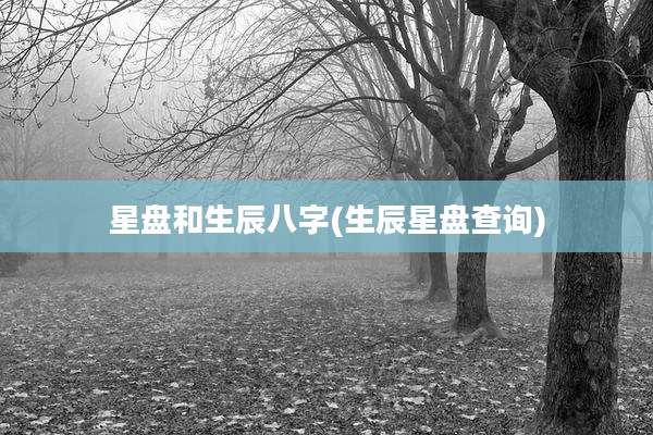 星盘和生辰八字(生辰星盘查询)