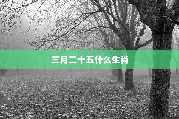 三月二十五什么生肖