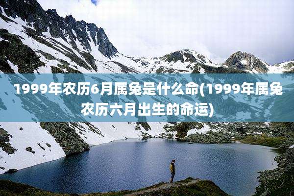1999年农历6月属兔是什么命(1999年属兔农历六月出生的命运)